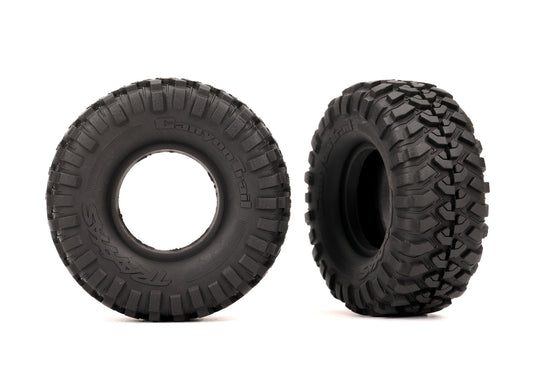 2 Canyon Trail Tires 2.2X1.0"